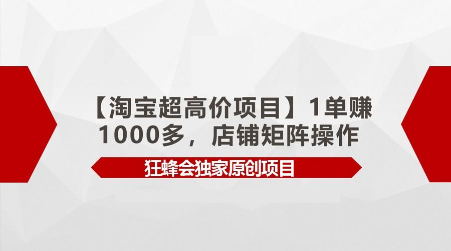 【淘宝超高价项目】1单赚1000多,店铺矩阵操作-天娱网创