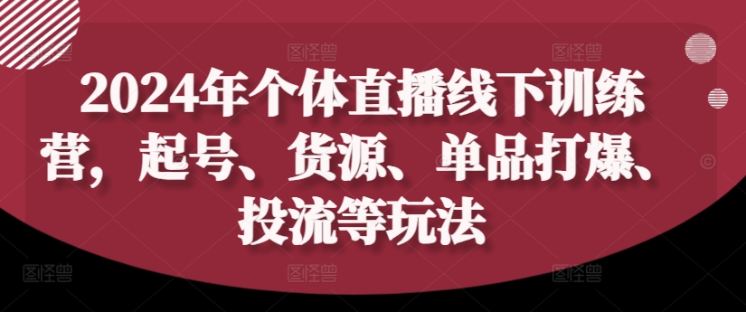 2024年个体直播训练营，起号、货源、单品打爆、投流等玩法-天娱网创