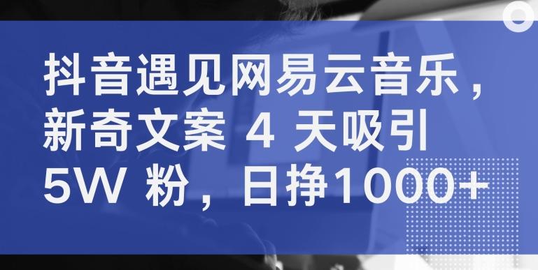 抖音遇见网易云音乐，新奇文案 4 天吸引 5W 粉，日挣1000+【揭秘】-天娱网创