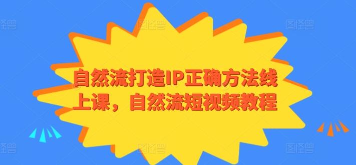 自然流打造IP正确方法线上课，自然流短视频教程-天娱网创