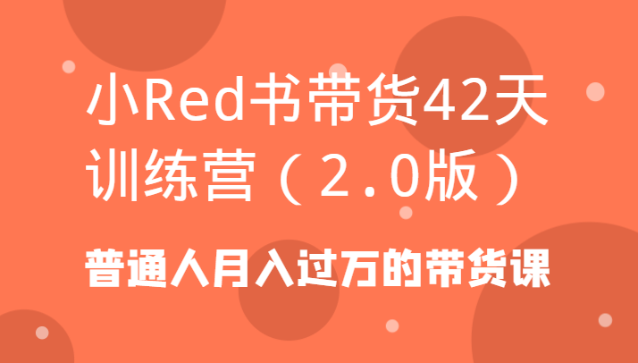 小Red书带货42天训练营(2.0版)普通人月入过万的带货课-天娱网创