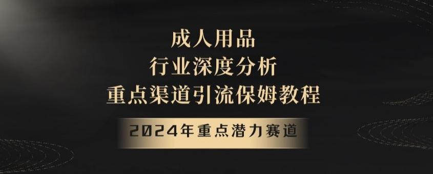 2024年重点潜力赛道，成人用品行业深度分析，重点渠道引流保姆教程【揭秘】-天娱网创