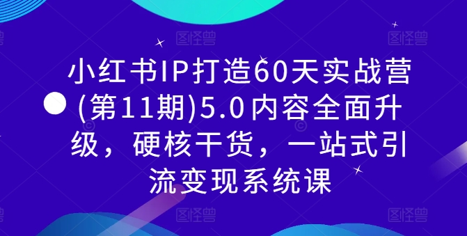 小红书IP打造60天实战营(第11期)5.0​内容全面升级，硬核干货，一站式引流变现系统课-天娱网创