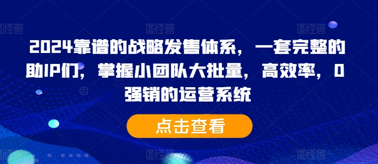2024靠谱的战略发售体系，一套完整的助IP们，掌握小团队大批量，高效率，0 强销的运营系统-天娱网创