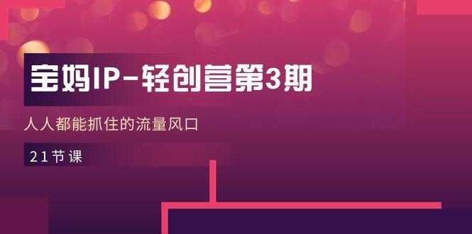 宝妈IP-轻创营第3期，人人都能抓住的流量风口(21节课-天娱网创