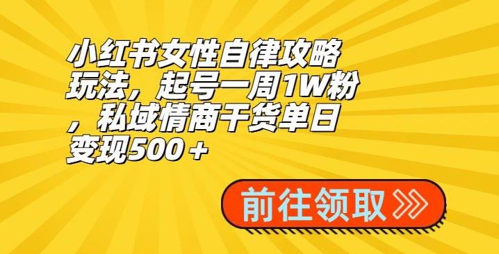 小红书女性自律攻略玩法，起号一周1W粉，私域情商干货单日变现500＋-天娱网创