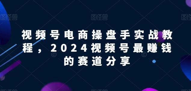 视频号电商实战教程，2024视频号最赚钱的赛道分享-天娱网创