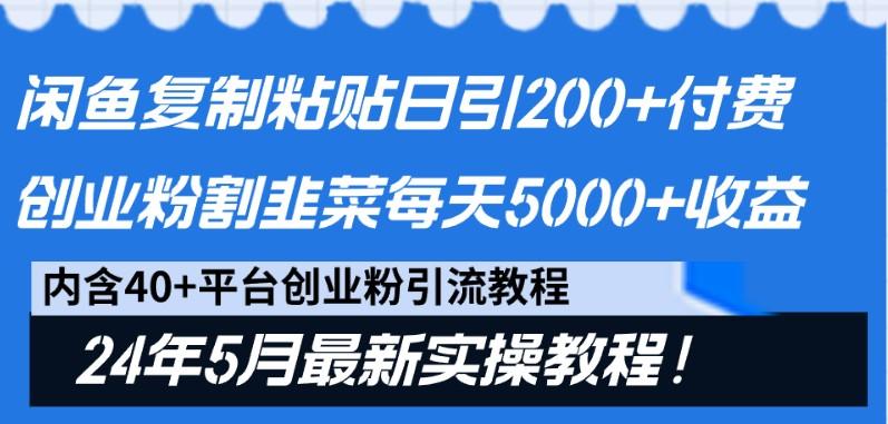 闲鱼复制粘贴日引200+付费创业粉，24年5月最新方法！割韭菜日稳定5000+收益-天娱网创