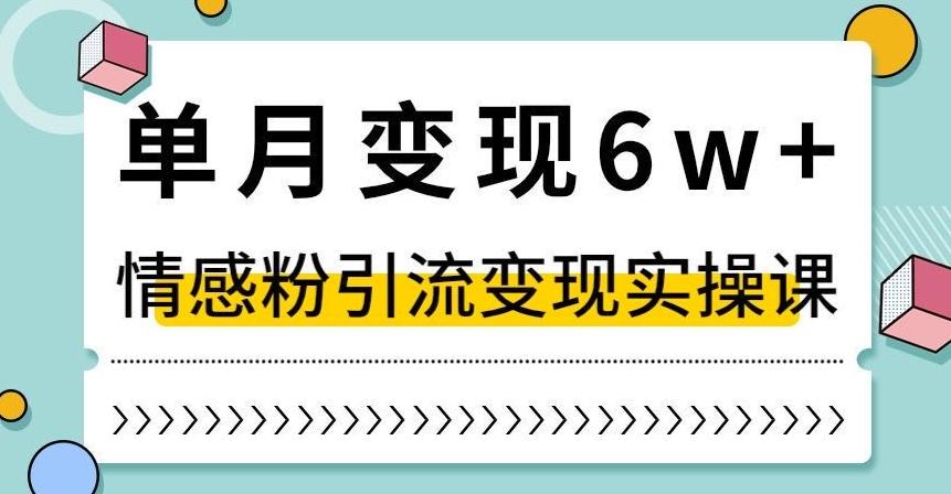 单月变现6W+，抖音情感粉引流变现实操课，小白可做，轻松上手，独家赛道【揭秘】-天娱网创