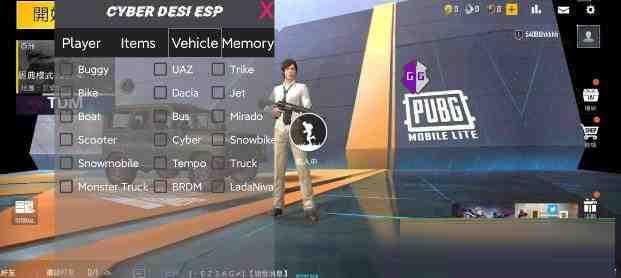 PUBG轻量老外裸奔绘制+自瞄 支持ROOT和框架 里面有全局离线-天娱网创