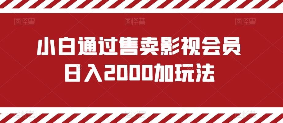 小白通过售卖影视会员日入2000加玩法-天娱网创
