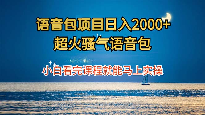 语音包项目 日入2000+ 超火骚气语音包小白看完课程就能马上实操-天娱网创