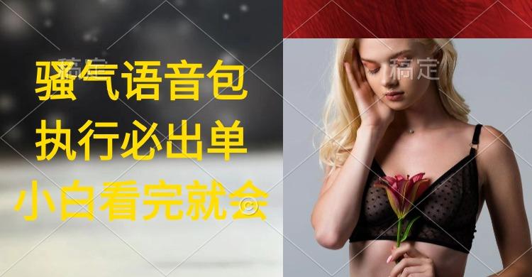 (9589期)执行就出单，日入2000+，超火骚气语音包，小白看完课程就能马上实操-天娱网创