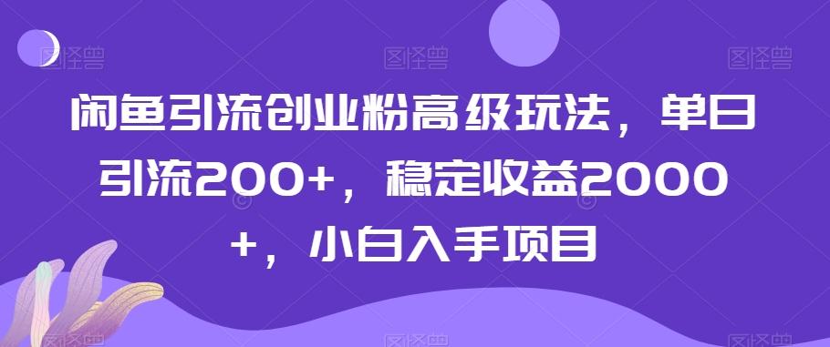 闲鱼引流创业粉高级玩法，单日引流200+，稳定收益2000+，小白入手项目-天娱网创