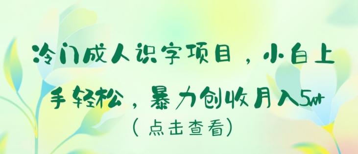 冷门成人识字项目，小白上手轻松，暴力创收月入5w+【揭秘】-天娱网创