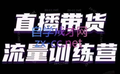 婉婉·直播带货课程系列合集(更新8月)-天娱网创