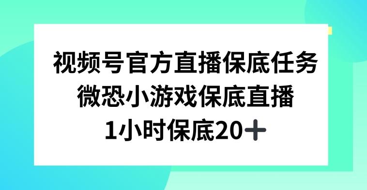 视频号直播任务，微恐小游戏，1小时20+【揭秘】-天娱网创