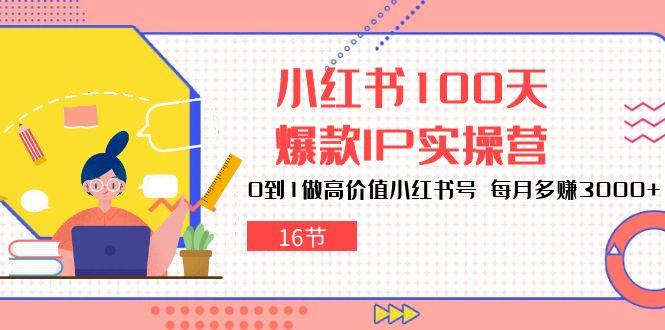 小红书100天-爆款IP实操营，0到1做高价值小红书号 每月多赚3000+(16节-天娱网创