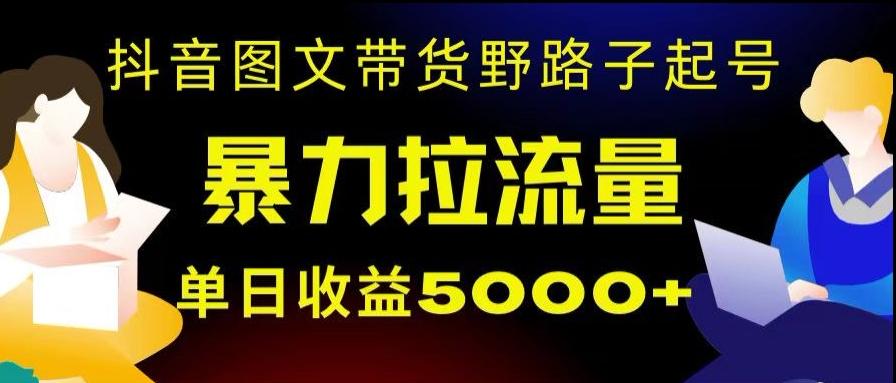 抖音图文带货暴力起号，单日收益5000+，野路子玩法，简单易上手，一部手机即可【揭秘】-天娱网创