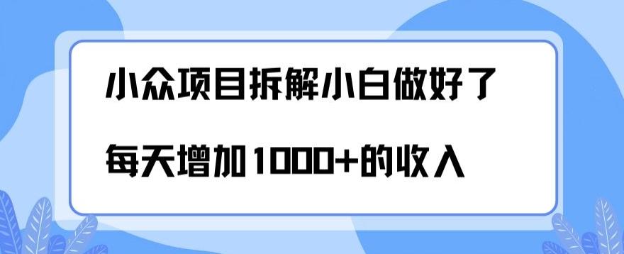 小众项目拆解，小白做好了每天可增加1000多的收入-天娱网创