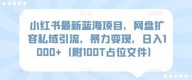 小红书最新蓝海项目，网盘扩容私域引流，暴力变现，日入1000+(附100T占位文件)【揭秘】-天娱网创