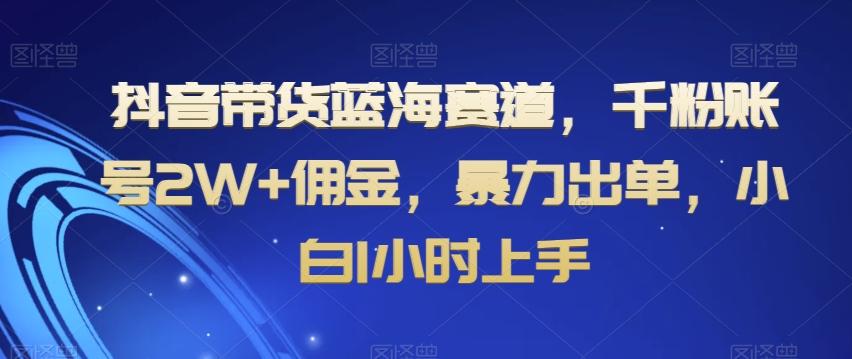 抖音带货蓝海赛道，千粉账号2W+佣金，暴力出单，小白1小时上手【揭秘】-天娱网创