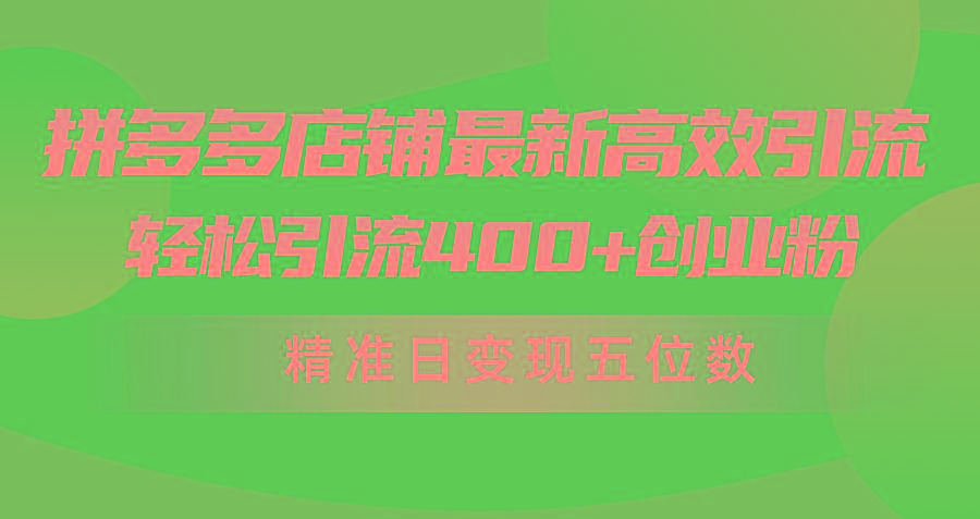 (10041期)拼多多店铺最新高效引流术，轻松引流400+创业粉，精准日变现五位数！-天娱网创
