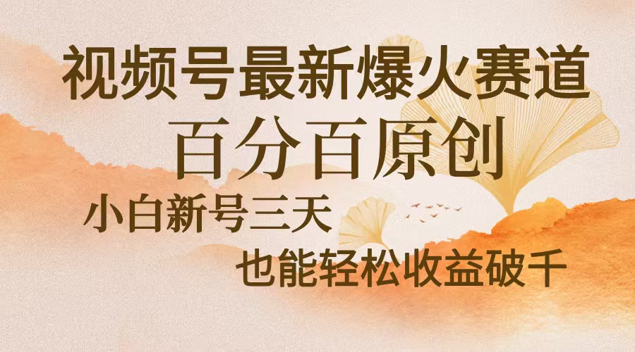 视频号最新爆火赛道，中老年粉深信不疑，百分百原创，新号三天收益轻松…-天娱网创