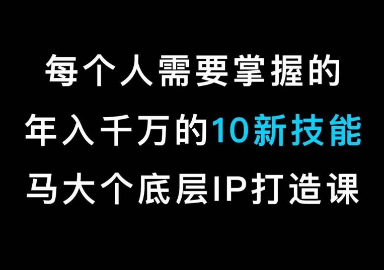 马大个的IP底层逻辑课，​每个人需要掌握的年入千万的10新技能，约会底层IP打造方法！-天娱网创