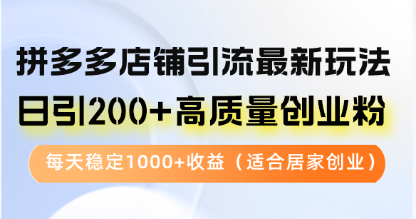 拼多多店铺引流最新玩法，日引200+高质量创业粉，每天稳定1000+收益(...-天娱网创