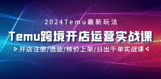 2024Temu跨境开店运营实战课，开店注册/选品/核价上架/日出千单实战课-天娱网创