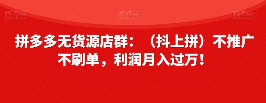 拼多多无货源店群：（抖上拼）不推广不刷单，利润月入过万！【揭秘】-天娱网创