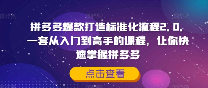 拼多多爆款打造标准化流程2.0，一套从入门到高手的课程，让你快速掌握拼多多-天娱网创