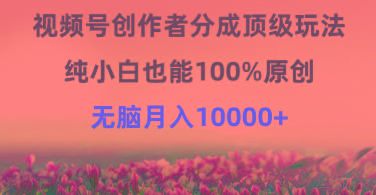 (9608期)视频号创作者分成顶级玩法，纯小白也能100%原创，无脑月入10000+-天娱网创