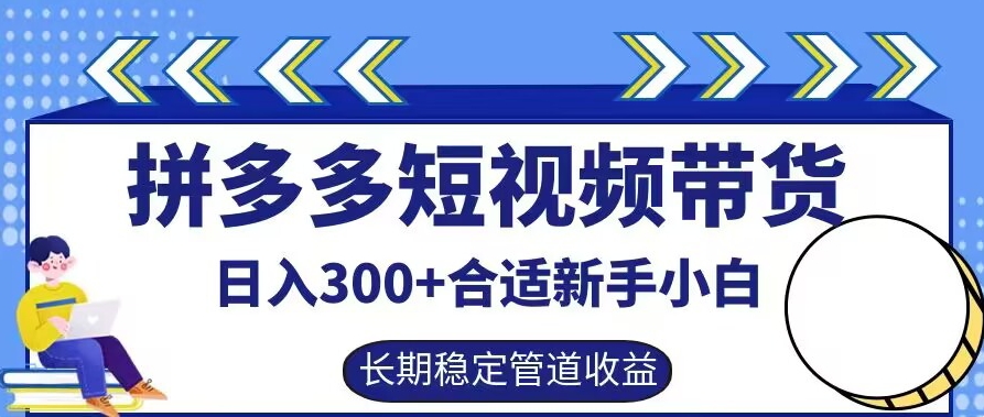 拼多多短视频带货日入300+有长期稳定被动收益，合适新手小白【揭秘】-天娱网创