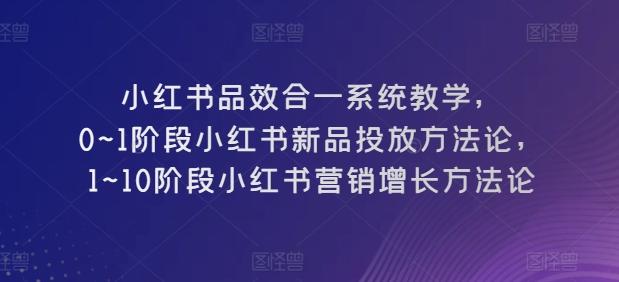 小红书品效合一系统教学，​0~1阶段小红书新品投放方法论，​1~10阶段小红书营销增长方法论-天娱网创