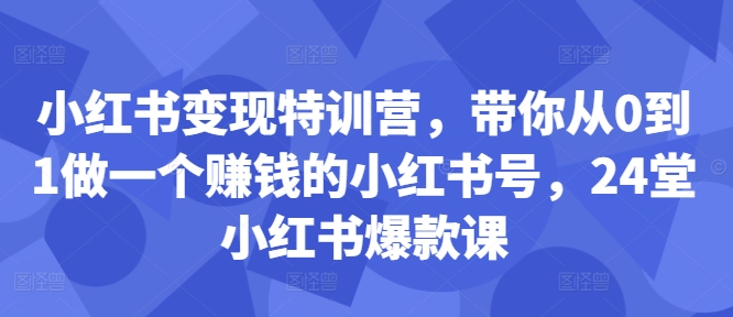 小红书变现特训营，带你从0到1做一个赚钱的小红书号，24堂小红书爆款课-天娱网创