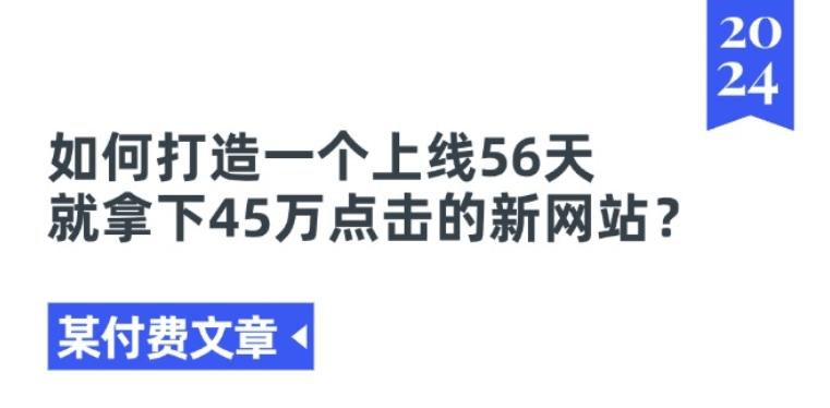 某付费文章《如何打造一个上线56天就拿下45万点击的新网站?》-天娱网创