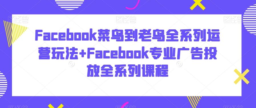 Facebook菜鸟到老鸟全系列运营玩法+Facebook专业广告投放全系列课程-天娱网创