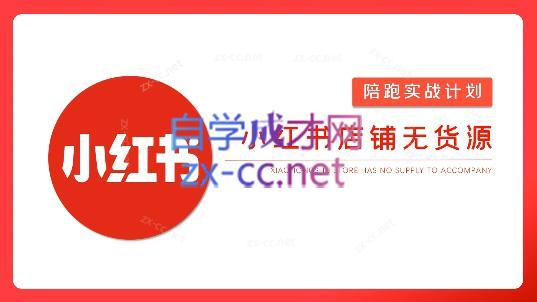 安琪·小红书店铺无货源-天娱网创