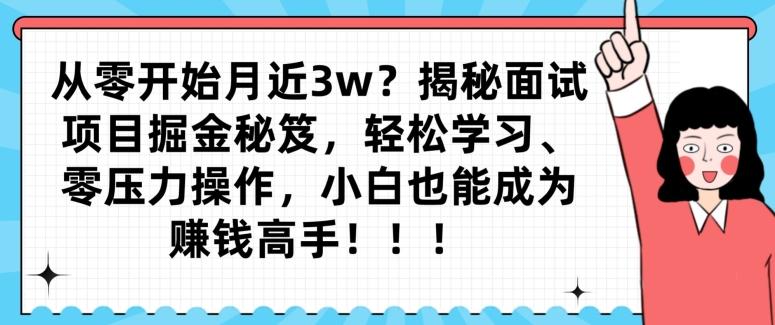 从零开始月近3w？揭秘面试项目掘金秘笈，轻松学习、零压力操作，小白也能成为赚钱高手-天娱网创
