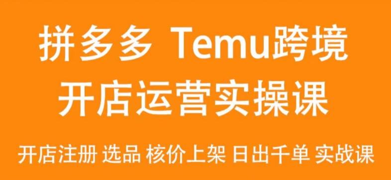 2024Temu最新玩法，Temu跨境开店运营实操课，开店注册/选品/核价上架/日出千单实战课-天娱网创
