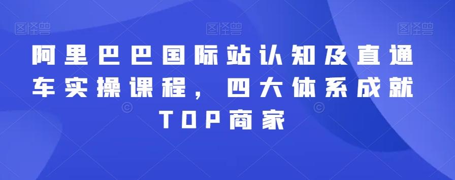 阿里巴巴国际站认知及直通车实操课程，四大体系成就TOP商家-天娱网创