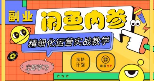 闲鱼精细化运营入门+高阶实战教学，从底层逻辑到轻松变现，多维度玩转闲鱼副业-天娱网创