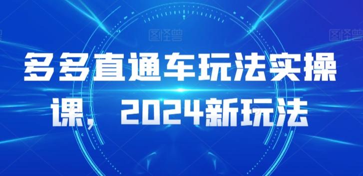 多多直通车玩法实操课，2024新玩法-天娱网创