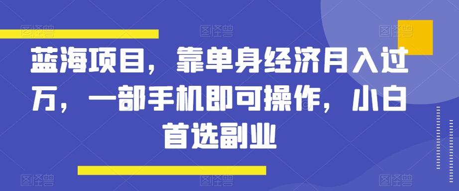 蓝海项目，靠单身经济月入过万，一部手机即可操作，小白首选副业【揭秘】-天娱网创