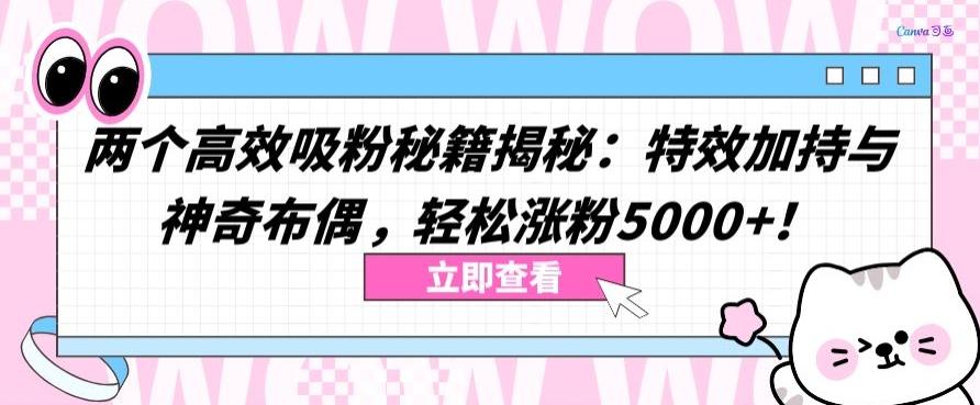两个高效吸粉秘籍揭秘：特效加持与神奇布偶，轻松涨粉5000+【揭秘】-天娱网创