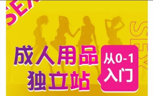 成人用品独立站从0-1入门，成品独立站运营全流程教学，七大好卖成品独立站推荐-天娱网创