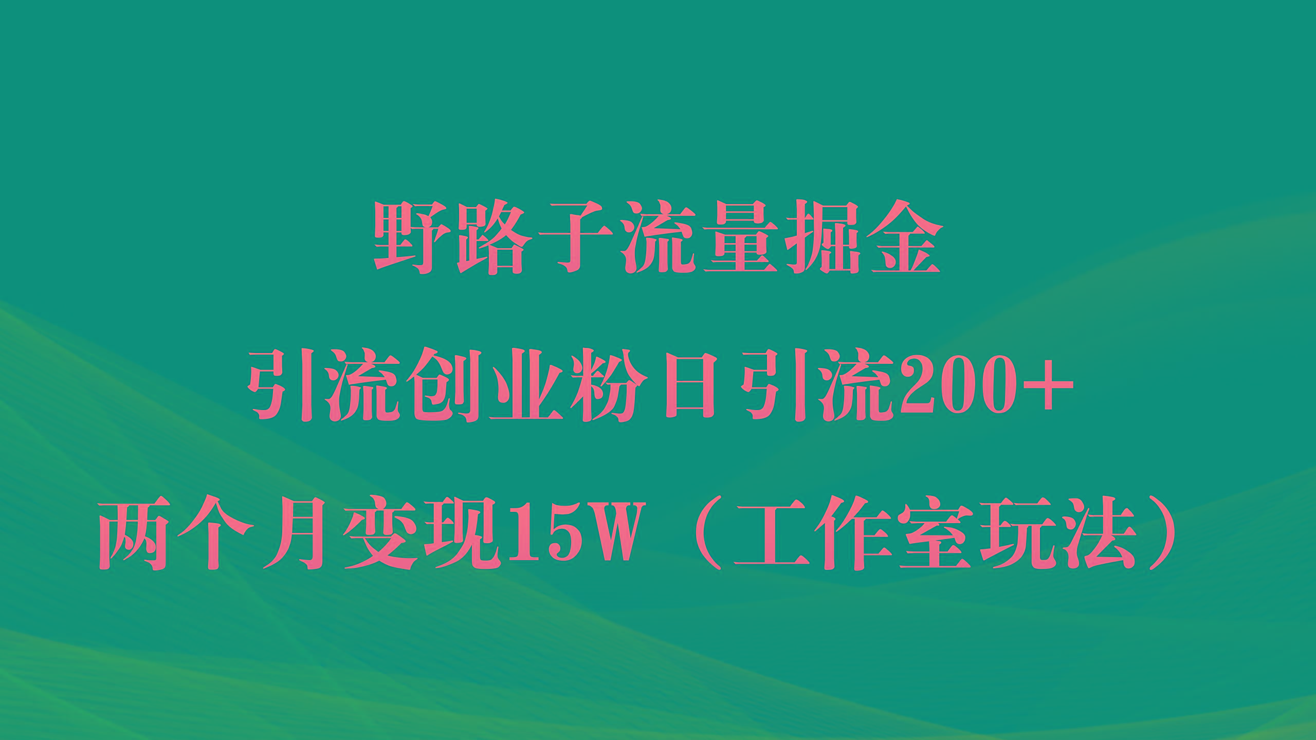 (9513期)野路子流量掘金，引流创业粉日引流200+，两个月变现15W(工作室玩法))-天娱网创