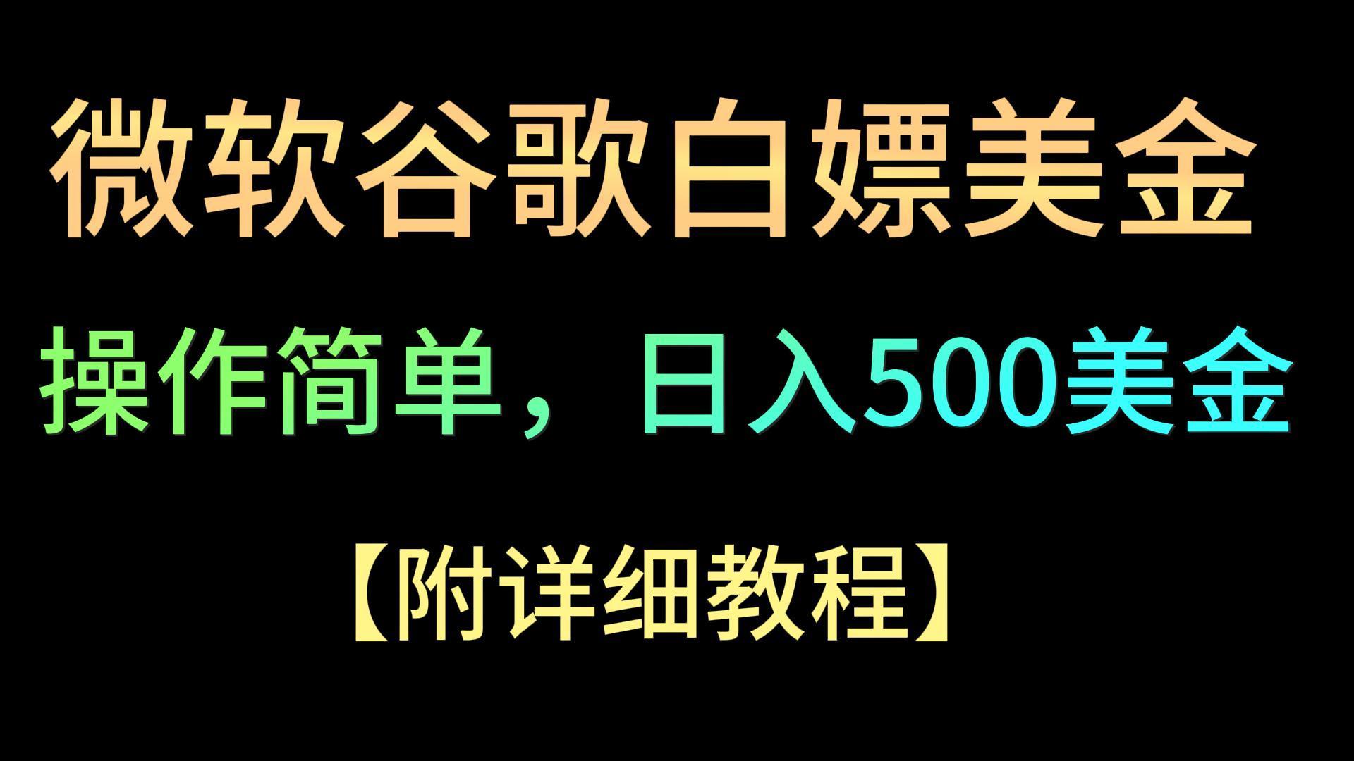 微软谷歌项目3.0，轻松日赚500+美金，操作简单，小白也可轻松入手！-天娱网创